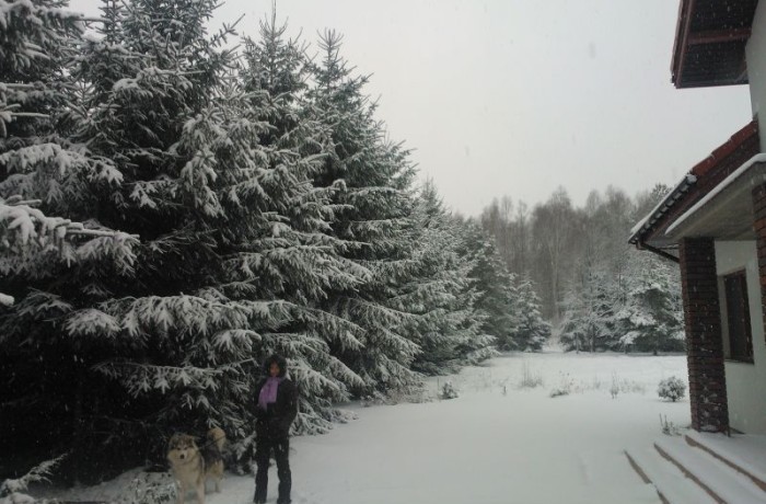 Zimą jest tu jak w mitycznej krainie Narnia