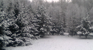 Zima w Zagruszanach – widok z okna
